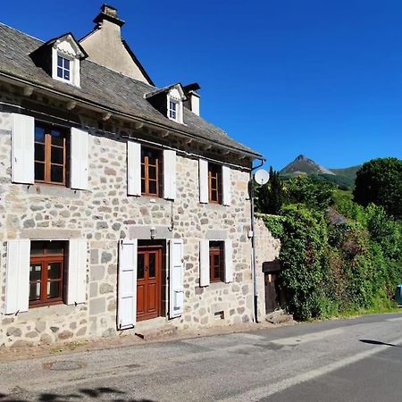 Maison Familiale Et Authentique Saint-Jacques-des-Blats Екстер'єр фото